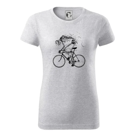 Cyklo kostra