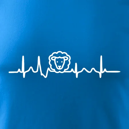 Ekg ovce