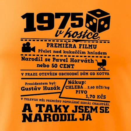 1975 v kostce