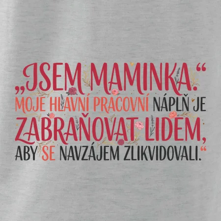 Moje hlavní pracovní náplň je zabraňovat lidem