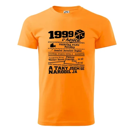 1999 v kostce