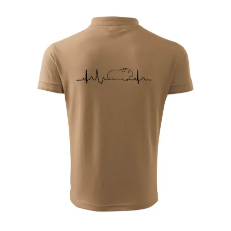 EKG morče