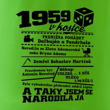 1959 v kostce