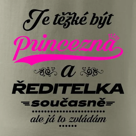 Je těžké být princezna - ředitelka