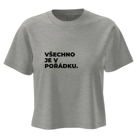 VŠECHNO JE V POŘÁDKU.