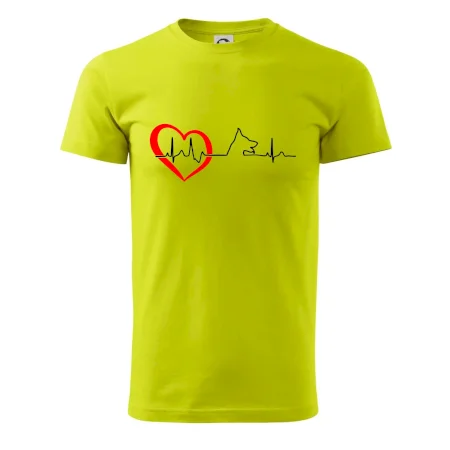 Německý ovčák ekg