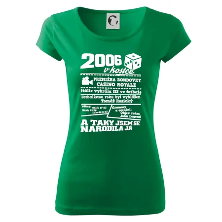 2006 v kostce
