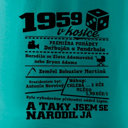 1959 v kostce