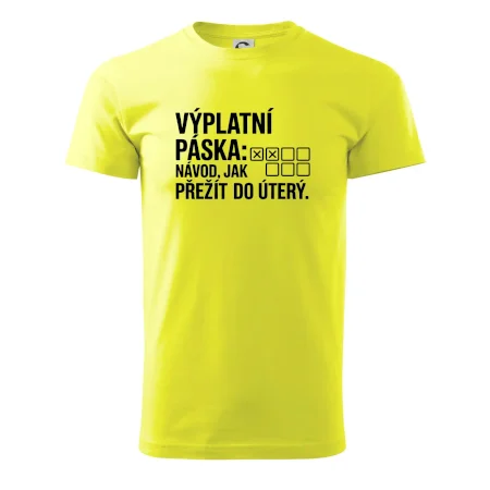 VÝPLATNÍ PÁSKA: Návod, jak přežít do úterý