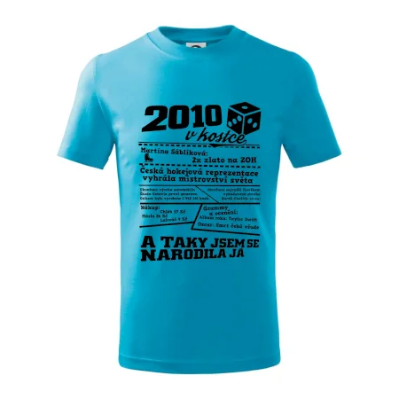 2010 v kostce