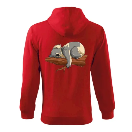 Koala na větvi