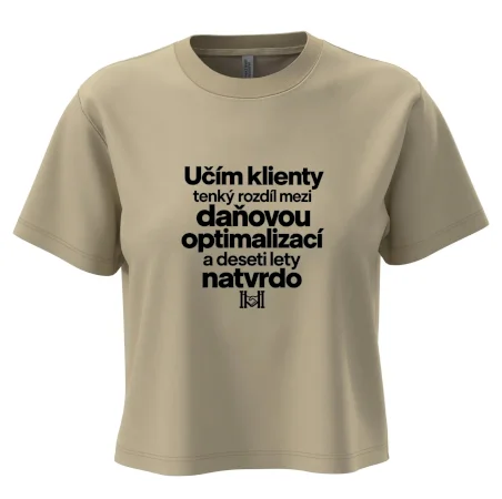 Daňová optimalizace versus deset let natvrdo
