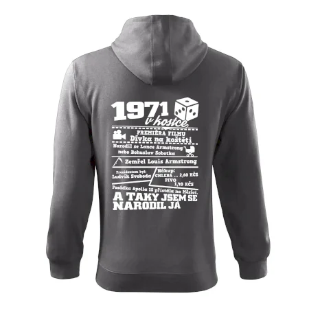 1971 v kostce