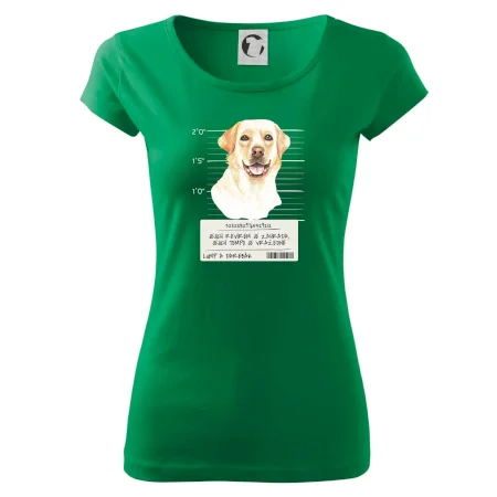 Lump a darebák labrador