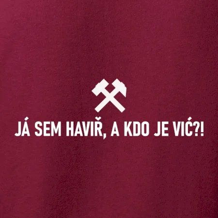 JÁ SEM HAVIŘ, A KDO JE VIĆ?!﻿