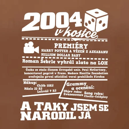2004 v kostce