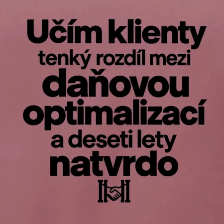 Daňová optimalizace versus deset let natvrdo
