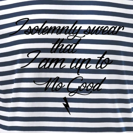 I solemnly swear that I'm up to no good