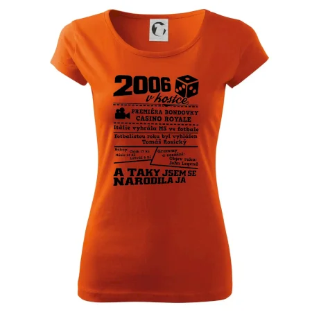 2006 v kostce