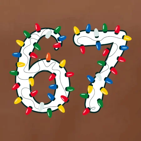 67 vánoční osvětlení