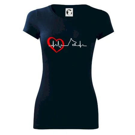 Německý ovčák ekg