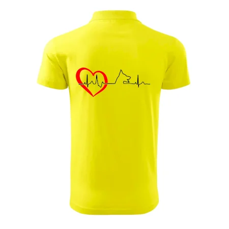 Německý ovčák ekg
