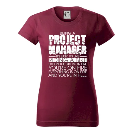 Being A Project Manager - bike