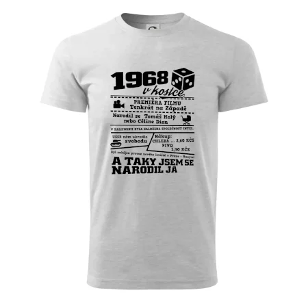1968 v kostce