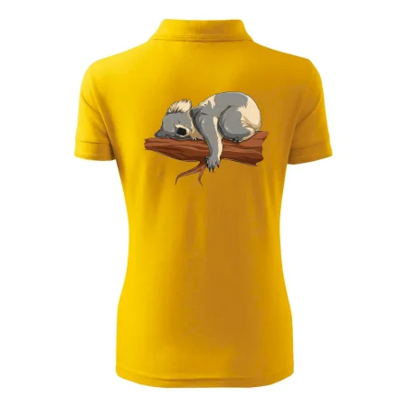 Koala na větvi