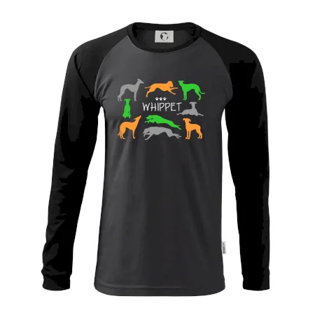 Whippet barevný