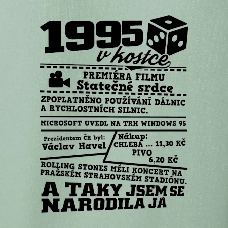 1995 v kostce