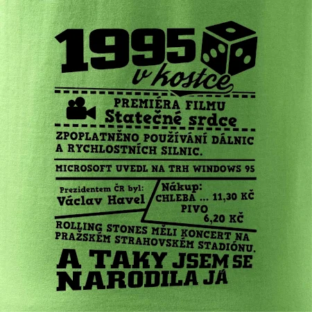 1995 v kostce