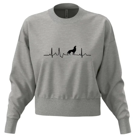 Vlk ekg