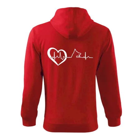 Německý ovčák ekg