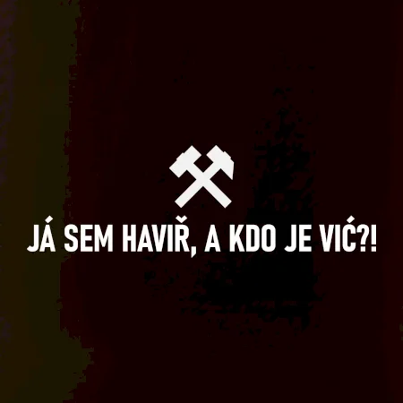 JÁ SEM HAVIŘ, A KDO JE VIĆ?!﻿