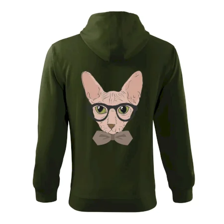 Hipster sphynx