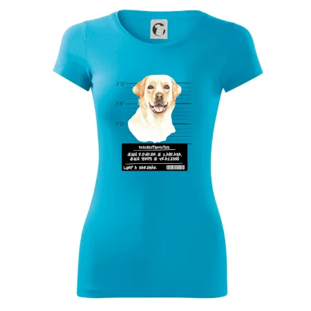Lump a darebák labrador