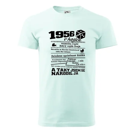 1956 v kostce