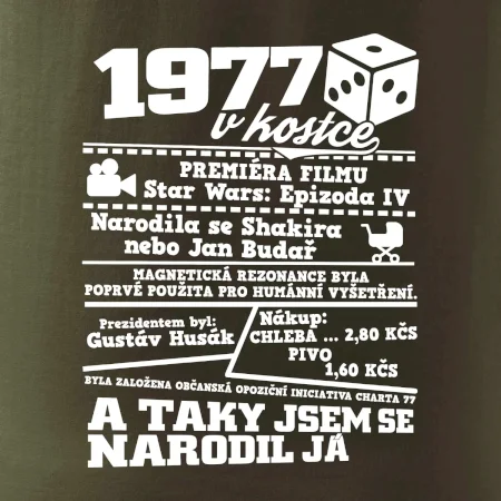 1977 v kostce