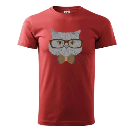 Hipster britská modrá