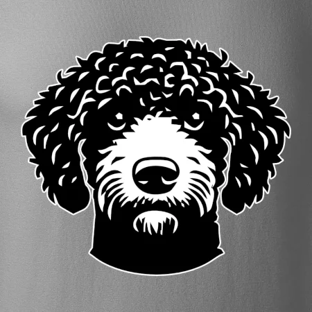 Lagotto romagnolo hlava na prsu