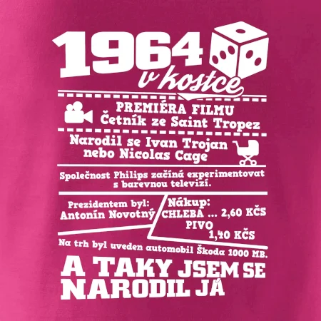 1964 v kostce