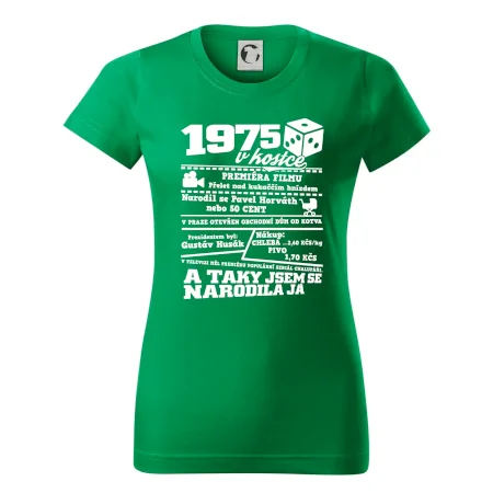1975 v kostce
