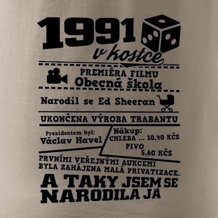 1991 v kostce