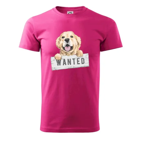 Zlatý retriever - štěně wanted