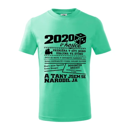 2020 v kostce