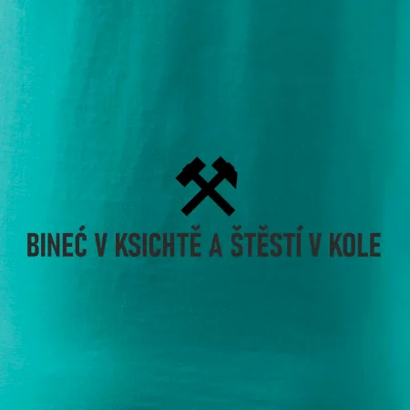 BINEĆ V KSICHTĚ A ŠTĚSTÍ V KOLE﻿