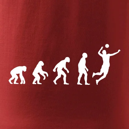Evoluce volejbal muž