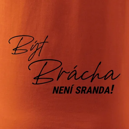 Být brácha / ségra není sranda