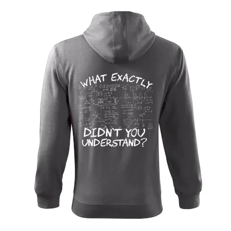What exactly didnt you understand - physics
